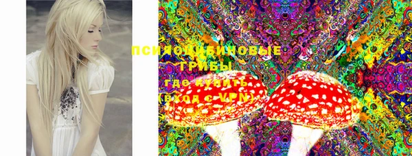 ECSTASY Верея